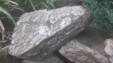 Wild stone and water