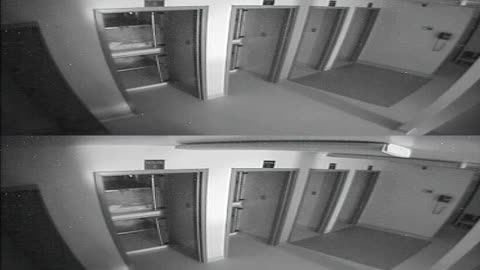 1704CRIB01CribAnalysisArea_2021-01-05_07h20min02s193ms.mp4