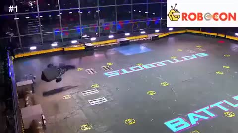 fight between robots