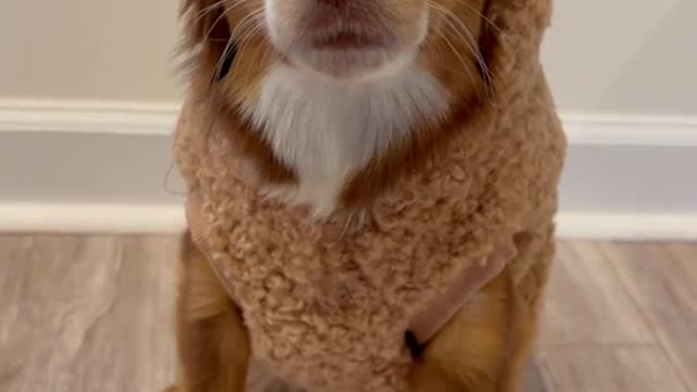 I’m not your teddy bear