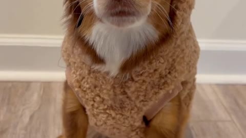 I’m not your teddy bear