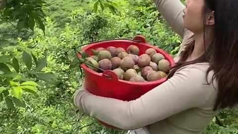 eating plums