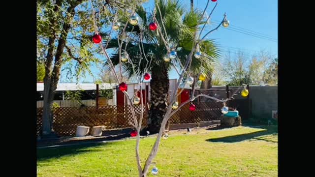 Minimalist, up-cycled rustic Christmas Tree