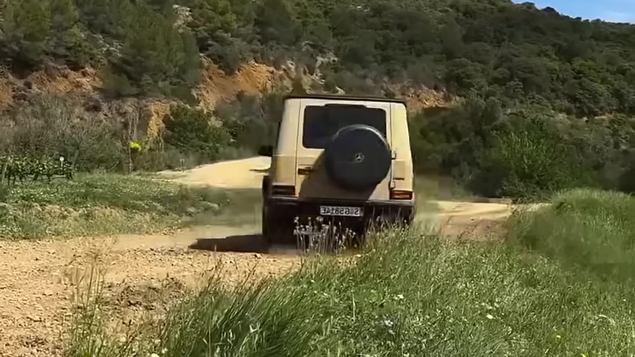 Oh My God! Imagine Honking at someone and they do this!