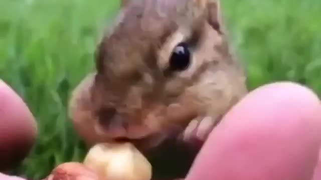 The cutest thing you will see today