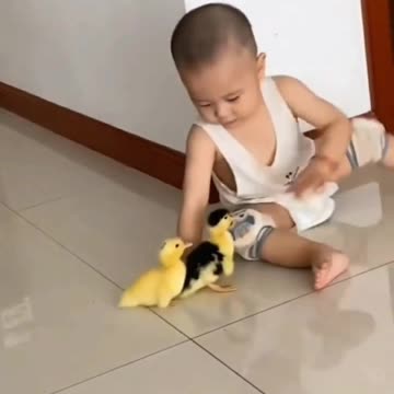 Episode #58 Ducks Attack Full Funny Viral Video