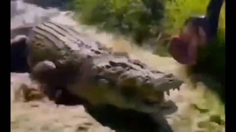 a monster 😱