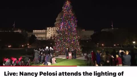 The Tree's Name is Ruby