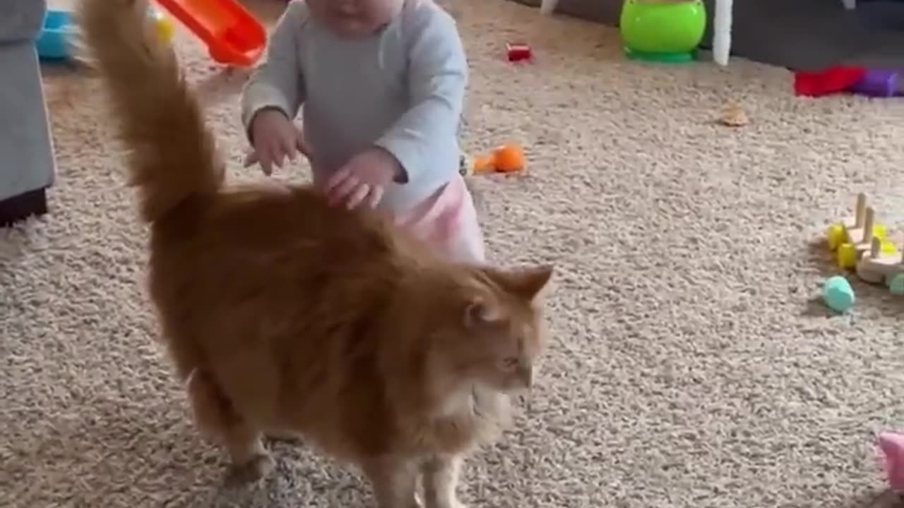 Beautifull cat helps baby take his first steps...!!!