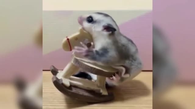 Do mice change like this; The dog stood and watched.
