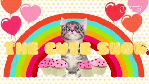 Cute Bunny Jumping Competition! - The Cute Show_Cut