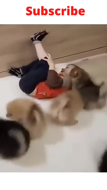 Puppies and kids funny moments