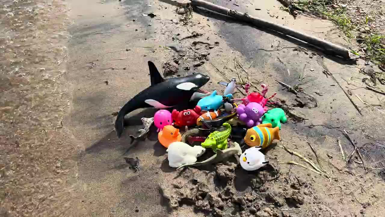 Washing Sandy Sea Animal Toys for Kids