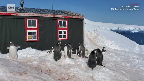 Port Lockroy, Antarctica- See what it takes to run a remote post office surrounded by penguins