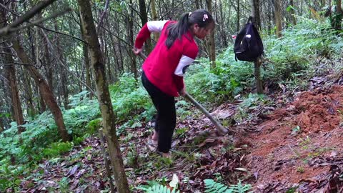 Dig the ground to bury bamboo roofed pillars to create temporary shelters-15