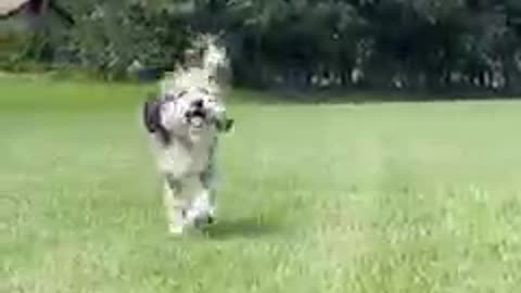 Nice video