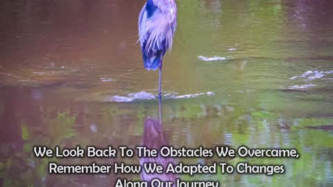 Reflection