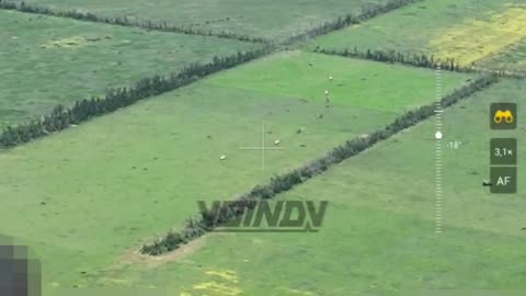 An Entire Column of AFU Armor Was Defeated Near Makarivka