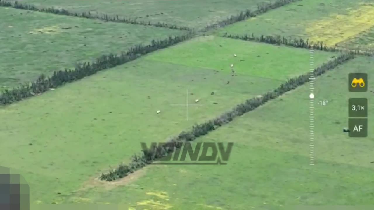 An Entire Column of AFU Armor Was Defeated Near Makarivka