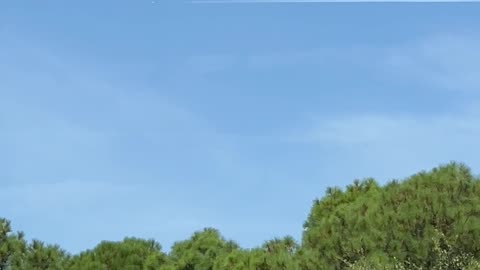 Last year’s hurricane OBX