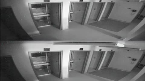 1704CRIB01CribAnalysisArea_2021-01-05_05h00min02s010ms.mp4