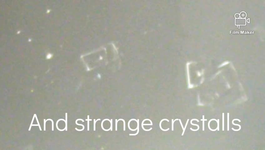 Covid Vaccines under Microscope...