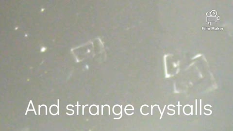Covid Vaccines under Microscope...