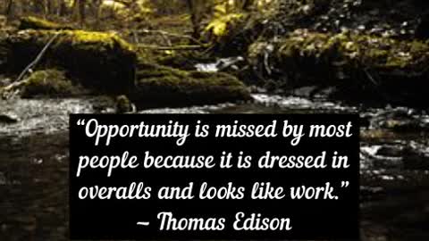Opportunity is missed by most people because it is dressed in overalls and looks like work Thomas E