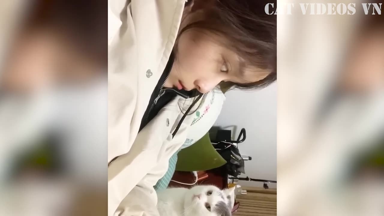 Funny Animals Compilation - Try Not To Laugh 10