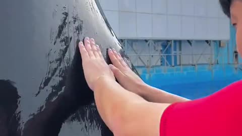 Fish play