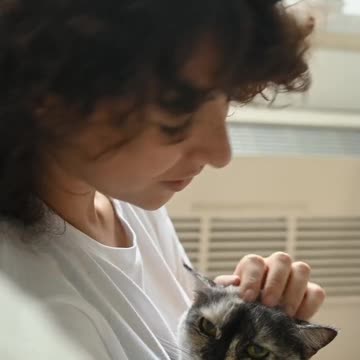 Beutiful colorfull cute cat