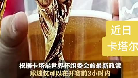 The prohibition of Qatar!Giant budweiser in liquorFans have to zone out,