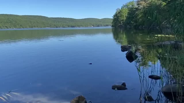PLACES YOU JUST WANT TO SIT