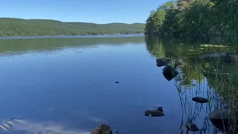 PLACES YOU JUST WANT TO SIT
