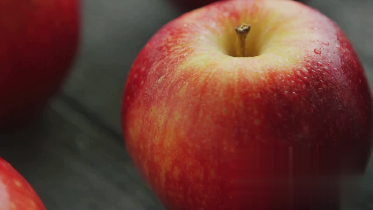 Mealworm Munchies: A Timelapse Feast