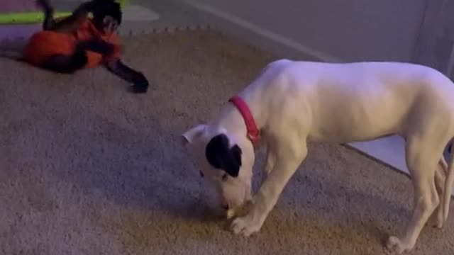Sista sista 🤣