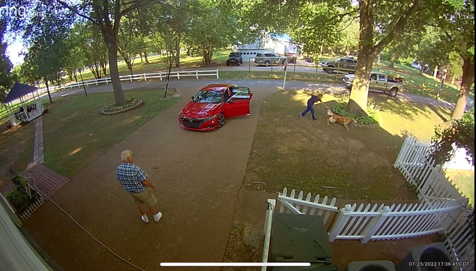 Dog Takes Off After Squirrel and Takes Down Owner