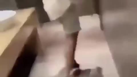 You Laugh 😂😂You Lose #viral #shorts #funny