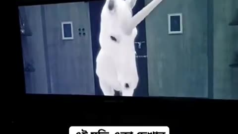 এই মুভি দেখার জন্য ১ লাখ টাকা পুরস্কার ঘোষণা করা হয়েছিল🫠🐸