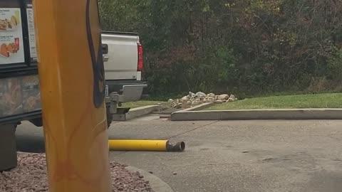 Truck in Taco Bell Drive-Through Takes Out Pole