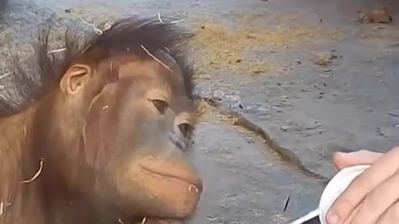 Who’s entertaining who ?