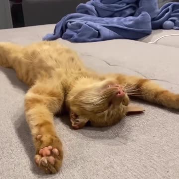 Such a comfortable bed