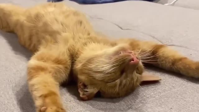 Such a comfortable bed