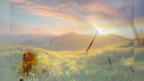 Relaxing Music | Sleeping, Meditation, Stress Relief | [6414] ⭐️