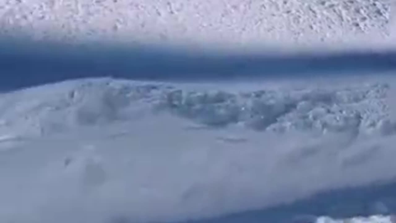 Joyful and fun start to the morning #shorts #viral #shortsvideo#video