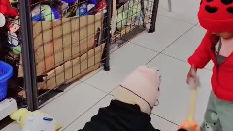 Cute baby