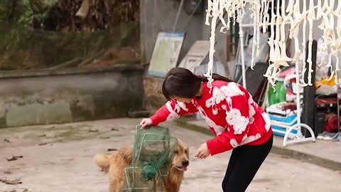 Cute cat 🐈 funny 🤣😊 video storee