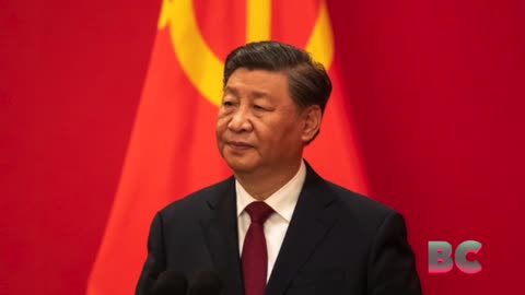 WSJ: China Wants to Be at Center of New World Order, Top EU Official Says