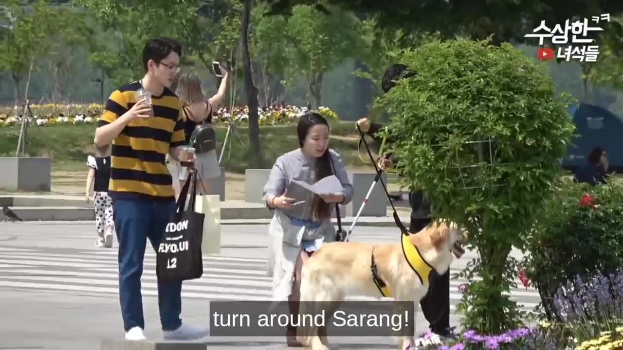 Top Best Korean Pranks