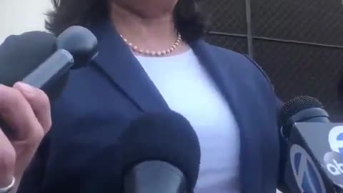 Harris vows to sign Executive Order to confiscate all guns in America if elected